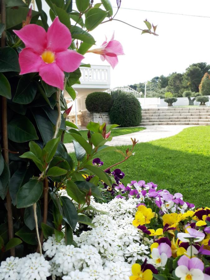 Villa Natia Mottola Luaran gambar